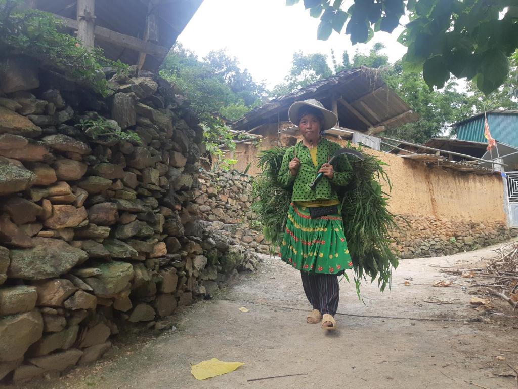 Ha Giang Hiking Tour 6 Day Itinerary